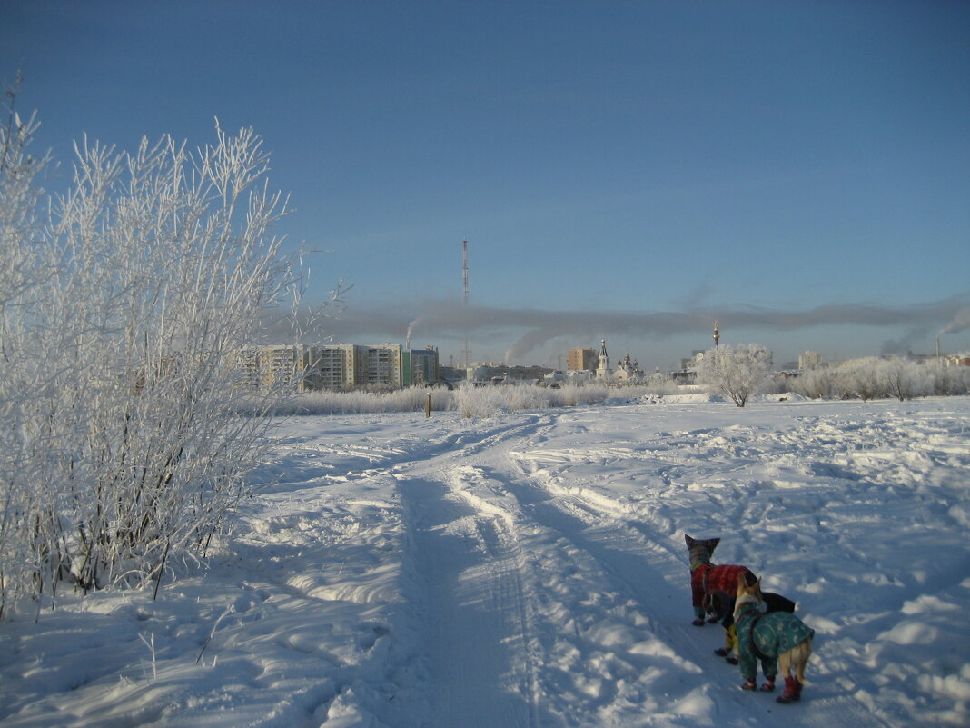 Домой - Anna Ivanova Домой - Anna Ivanova