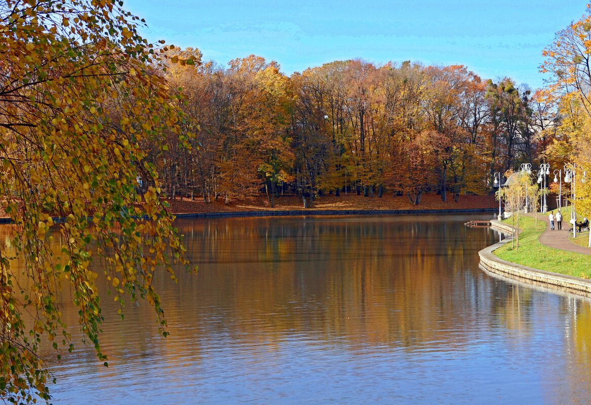Зоологический пруд - Сергей Карачин