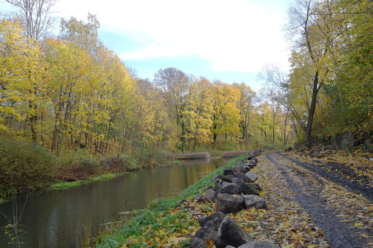 Ноябрь - Рита Симонова