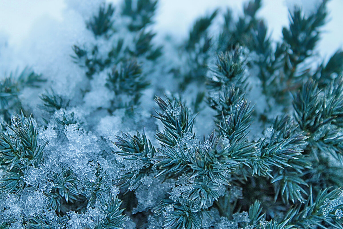 ❄️ - Наталья 