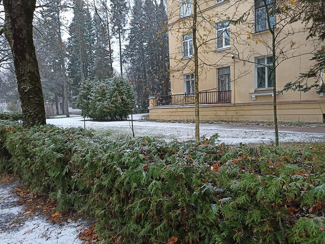 Первый снег. Зеленогорск. Ленинградская область. - Лилия *