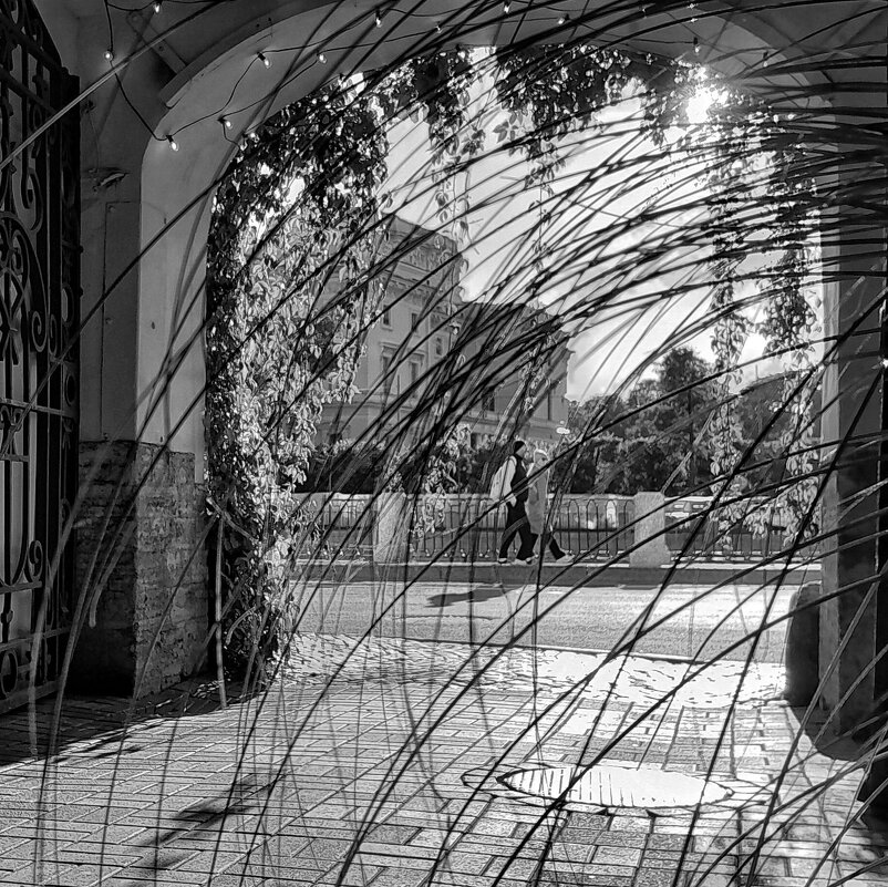 Спб - Виктория Поликарпова