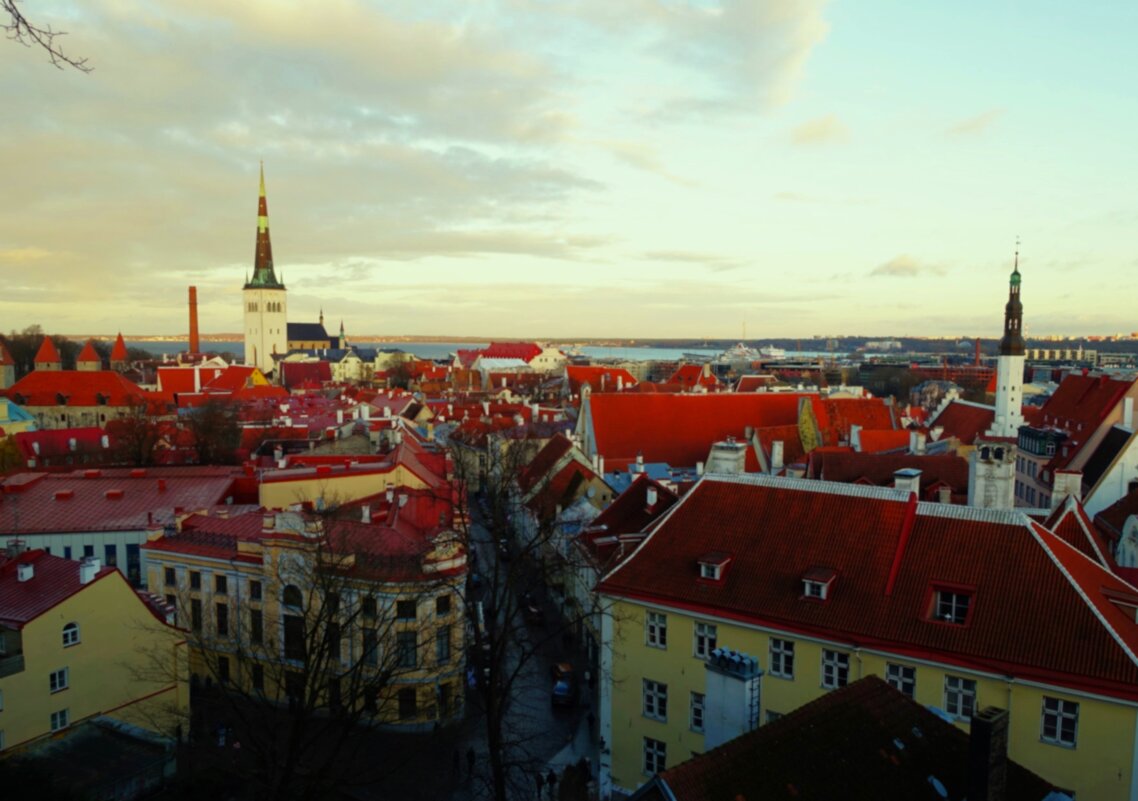 Вид со смотровой Кохтуотса - Aida10 