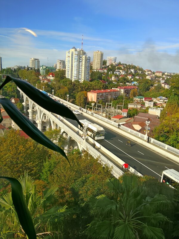 Панорама через окно - Tata Wolf