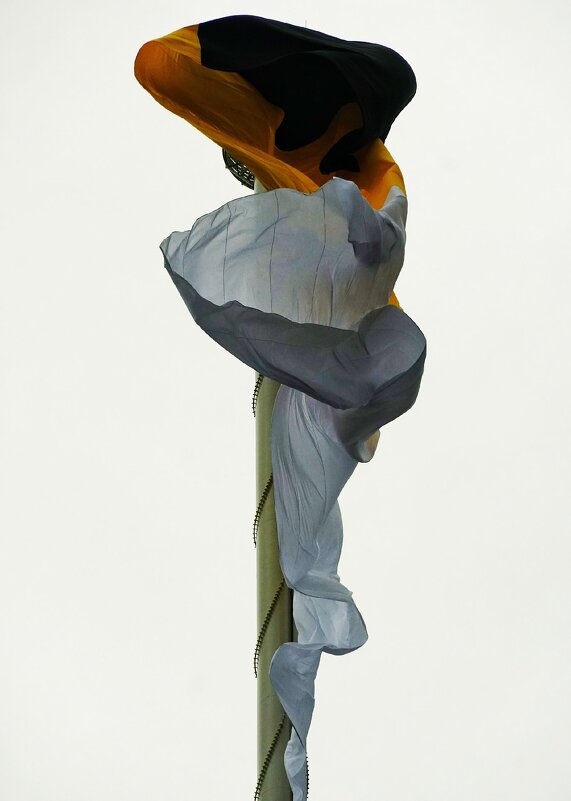 Лахта СПБ - Виктория Поликарпова