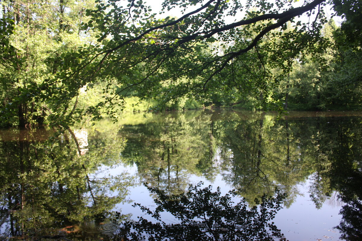 Тихая заводь - Маргарита Б