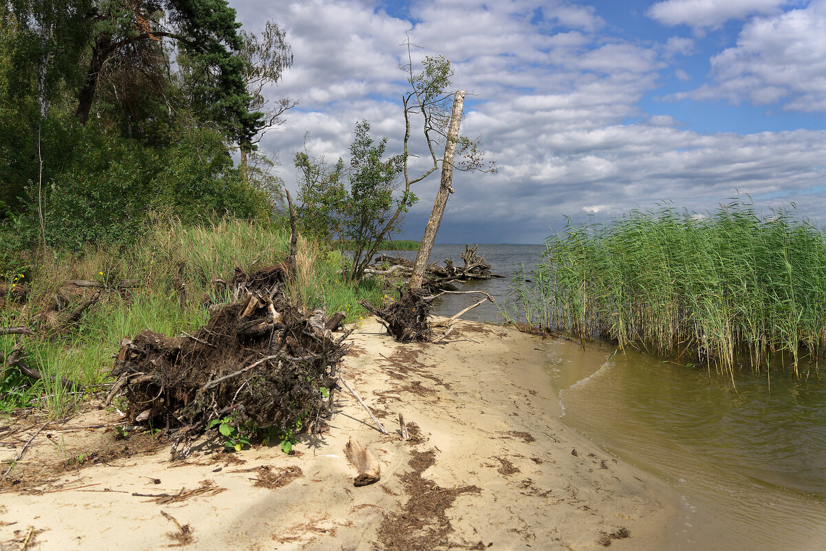 Пейзаж - Вячеслав Алтай