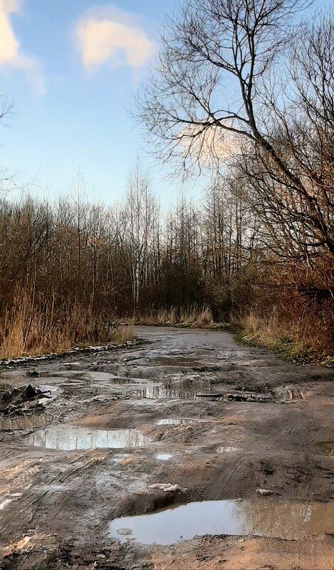 Эх, дороги... - Наталья Герасимова