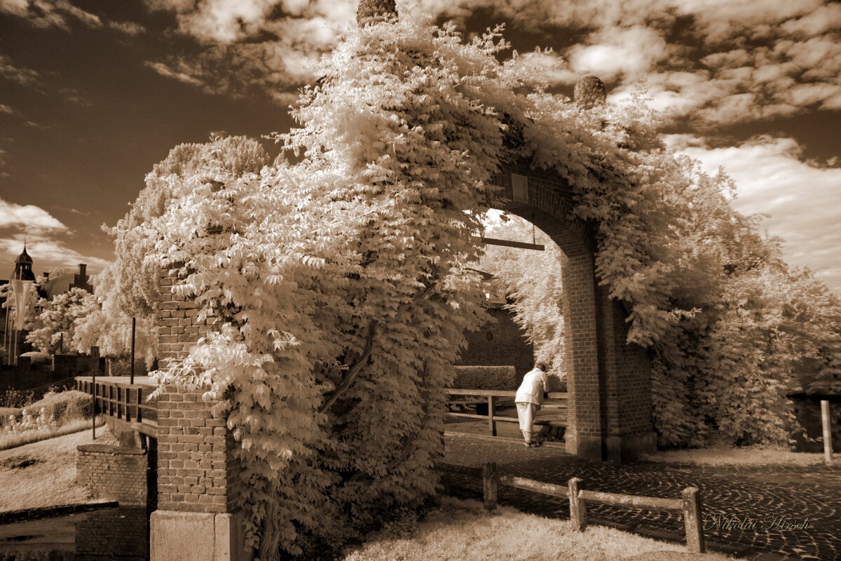 В созерцании... - Николай Гирш