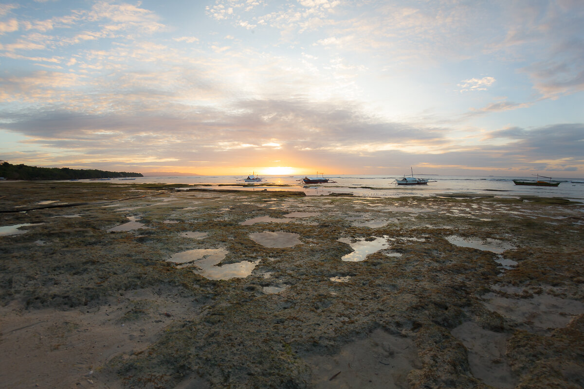 *** - алексей афанасьев