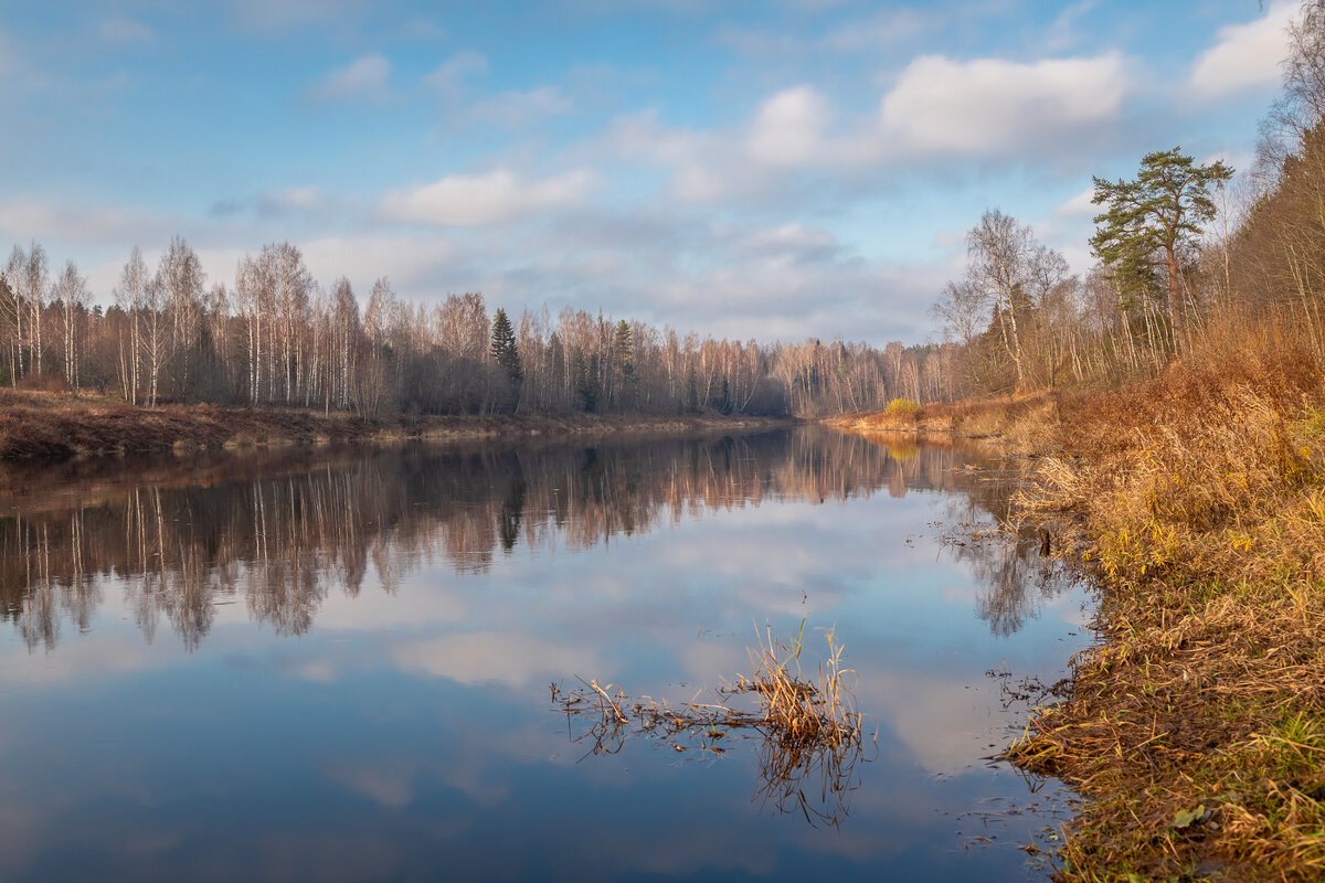 **** - Елизавета .