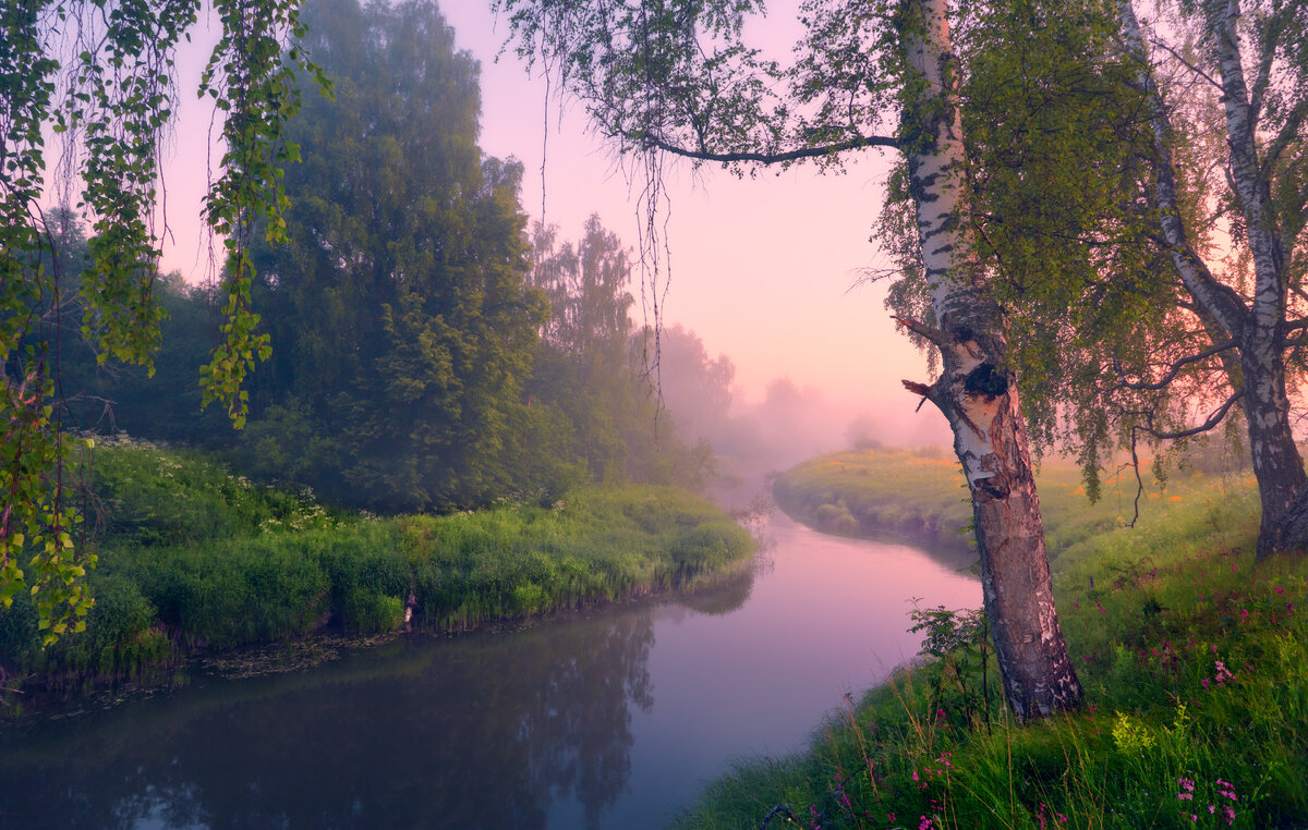 Берёзовые пряди  ... - Roman Lunin