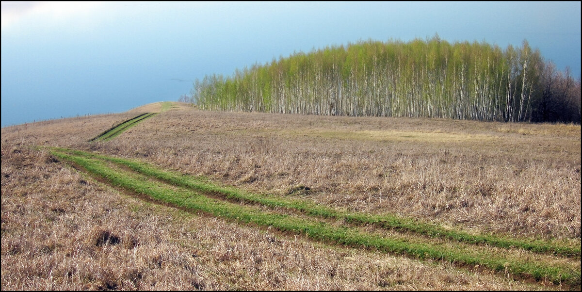 Туман над Волгой - **** vedin