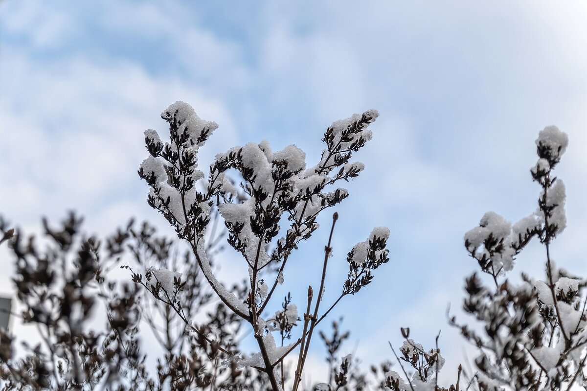Припорошила - Валерий Иванович