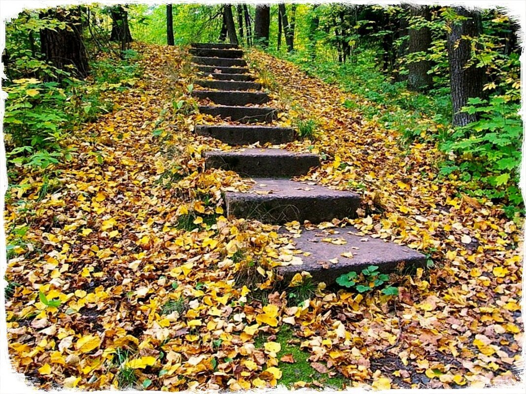 Лестница в осень - VasiLina *