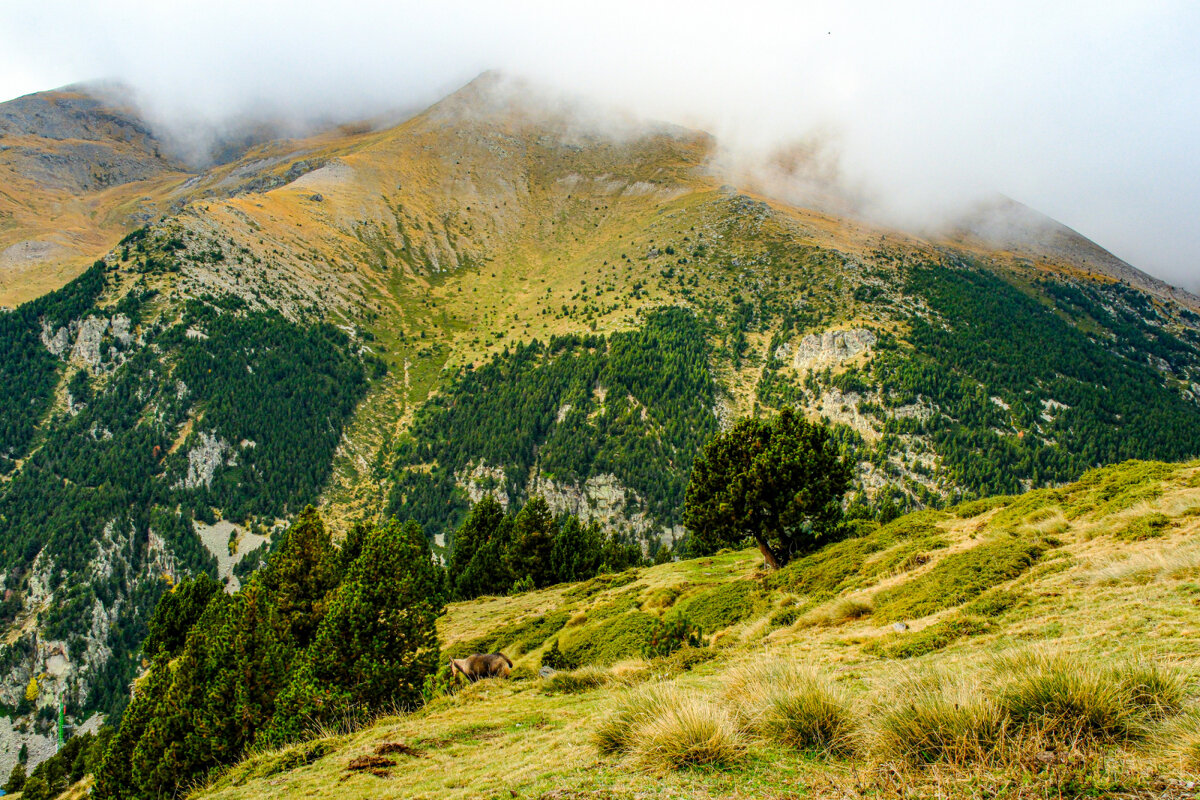 Поход по горам (5) - Георгий А