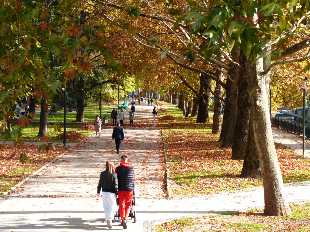 Отдыхв парке - Валентин Семчишин