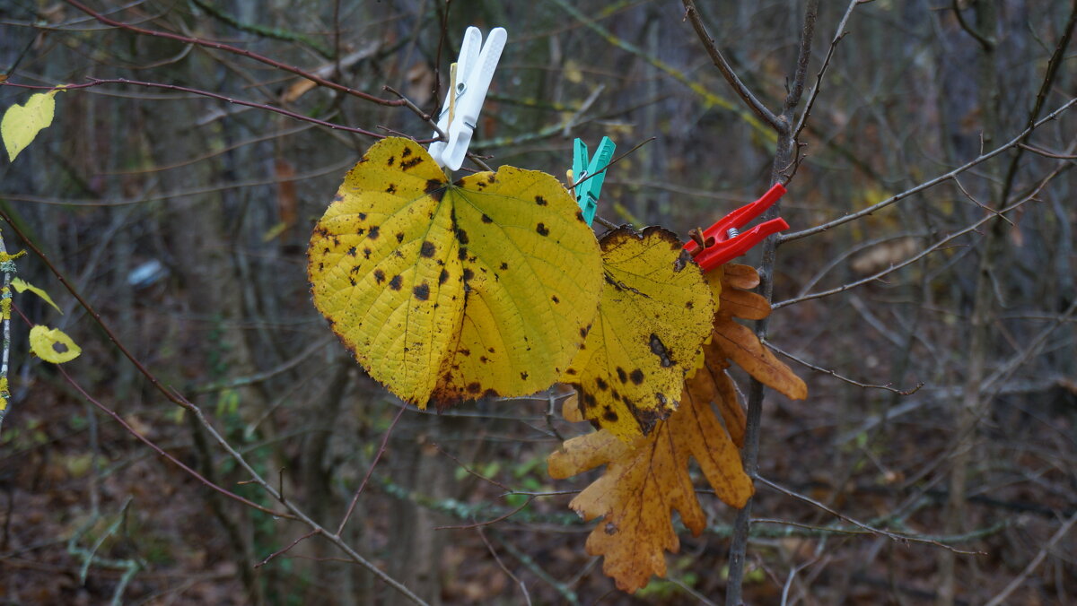 ! ;) - Вен Гъновски