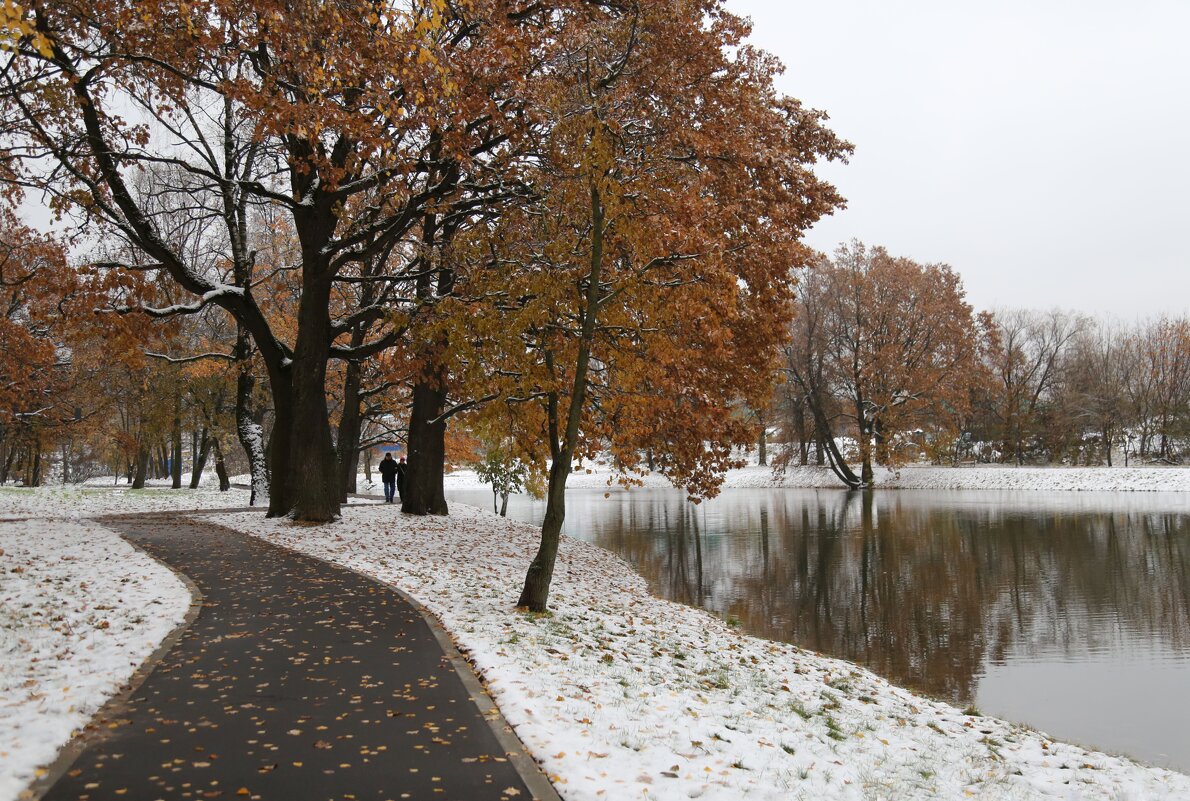 Первый снег - ZNatasha -