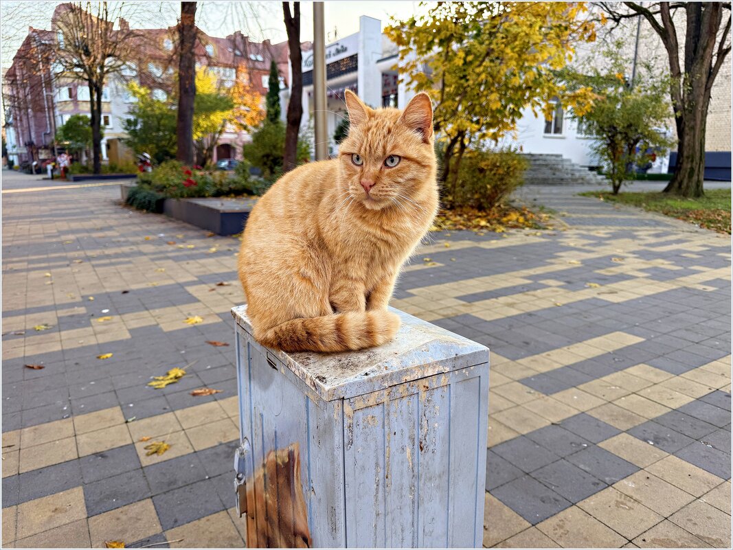 Как всегда, на своём месте. - Валерия Комова Как всегда, на своём месте. - Валерия Комова
