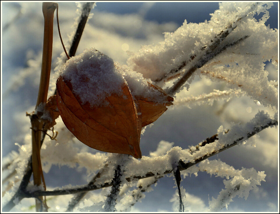 Физались украсился - Aleksandr Gal