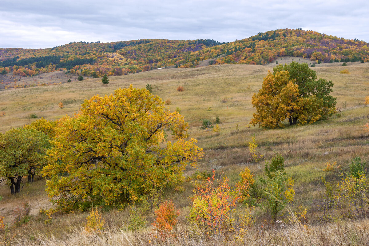 Очарование осени - Наталья Димова