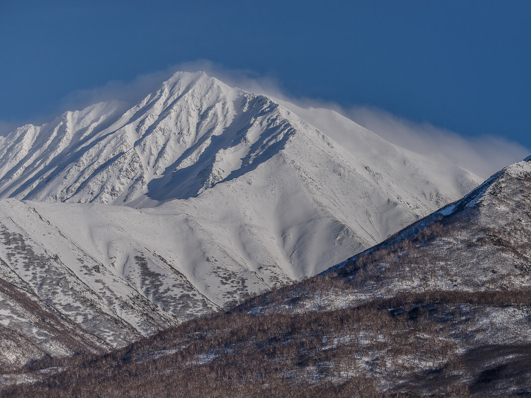 ... - Жора Житников