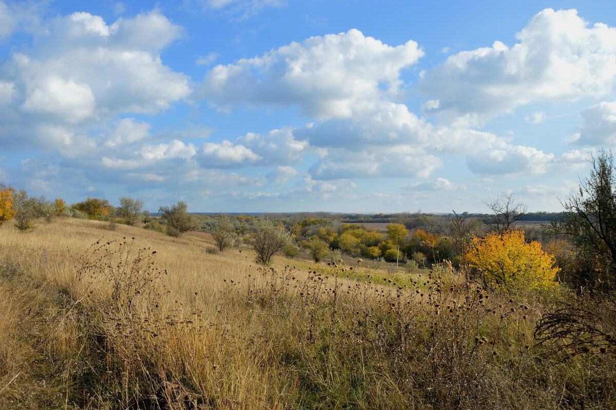 Слились горизонты с небесной границей... - Надежда Куркина 