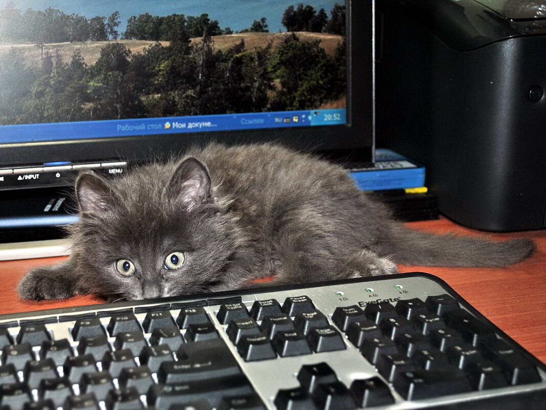 Когда был Тоша маленьким... - Алексей Бубнов