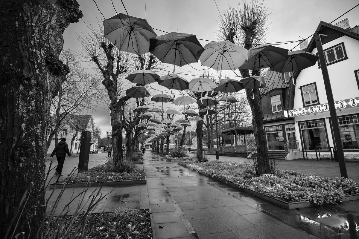 б.н - Николай 