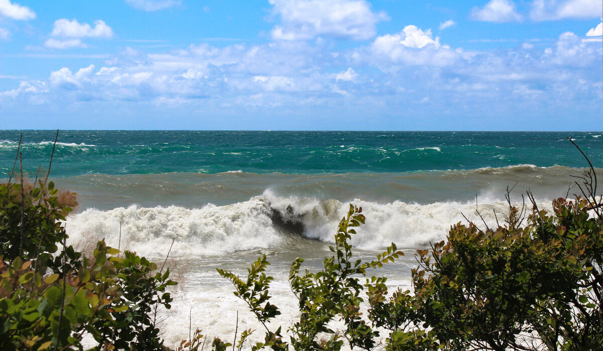 Шторм. - Александр 