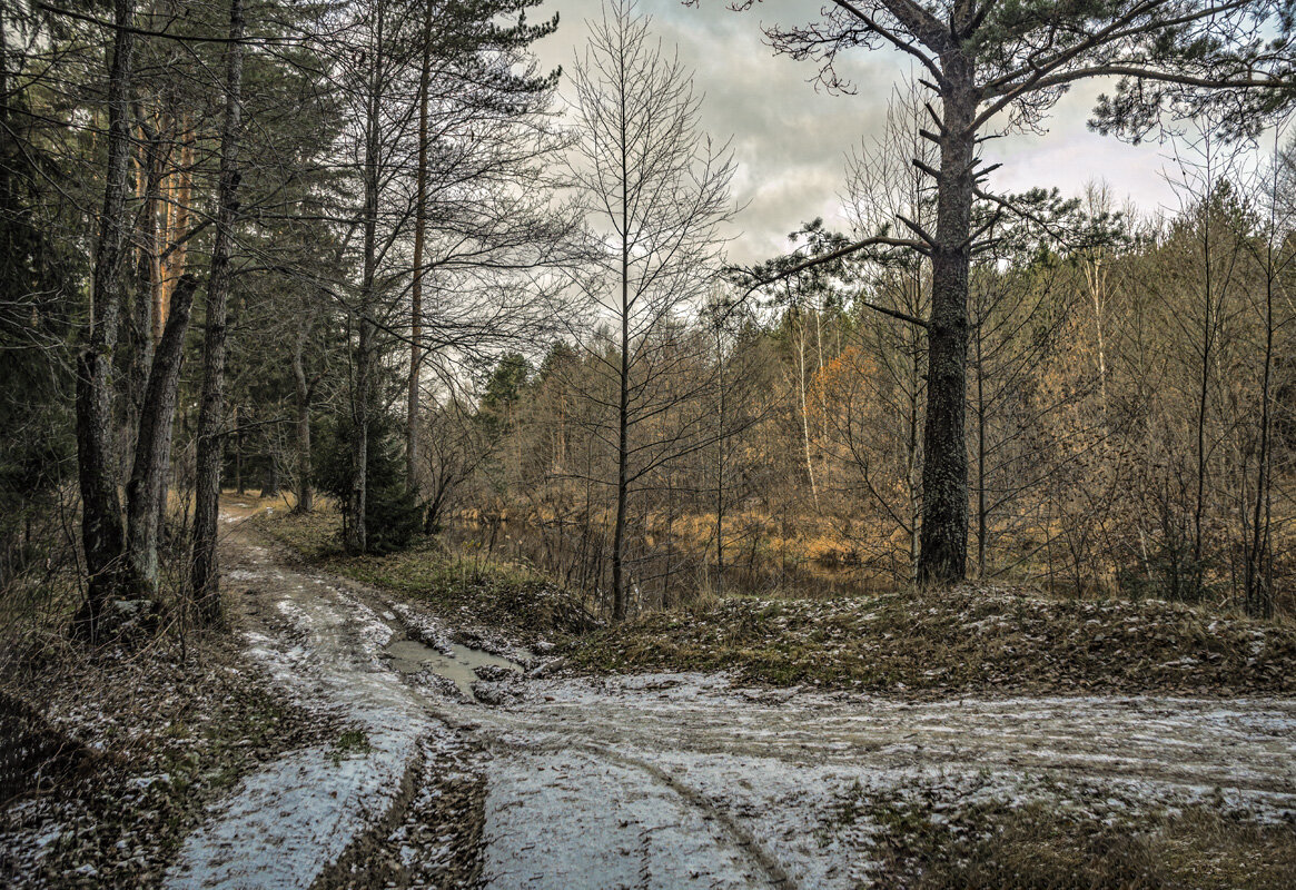 зима - Александр Иванович Шитов