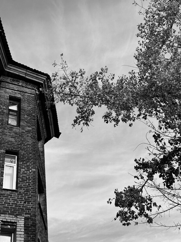 *** - Яна Горбунова