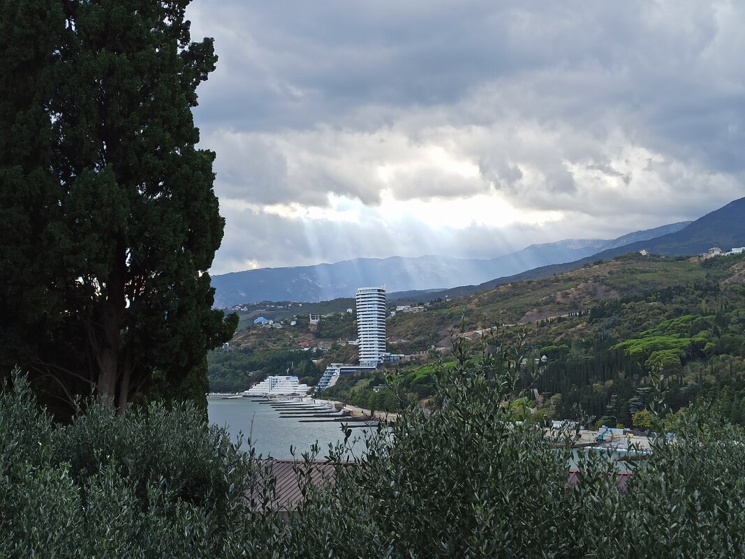 Южный берег Крыма - Галина 