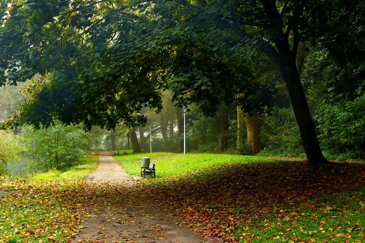 В осеннем парке - Юрий. Шмаков