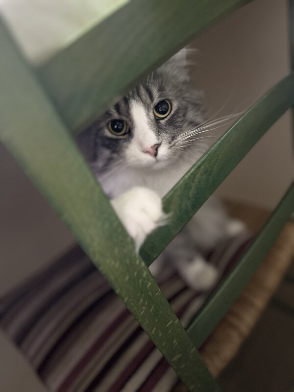 Милота - Марина Панькина