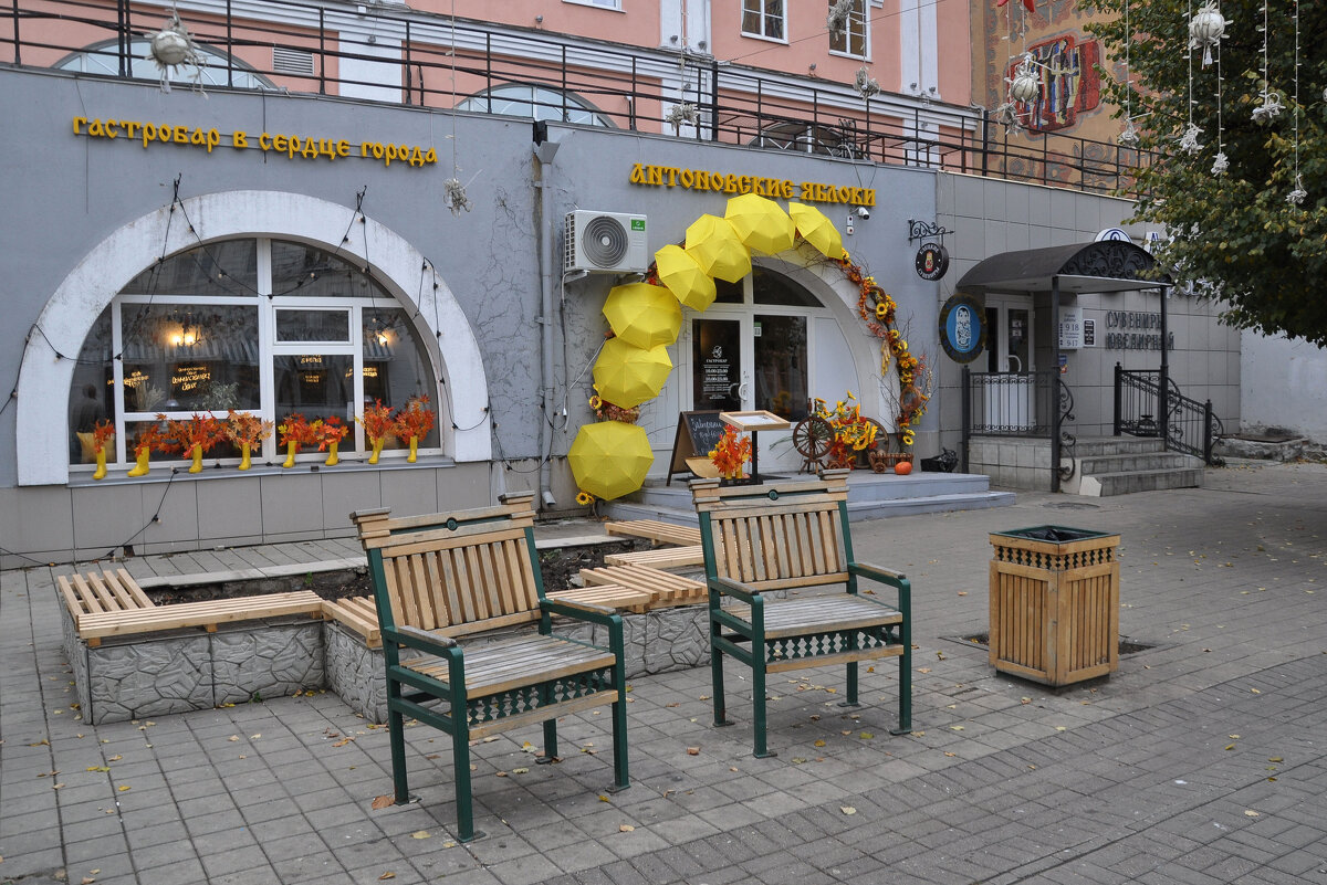 Гастробар Антоновские яблоки на улице Мира (Елец) - Татьяна Машошина