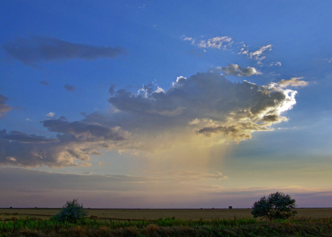 летний дождь - Всеволод 
