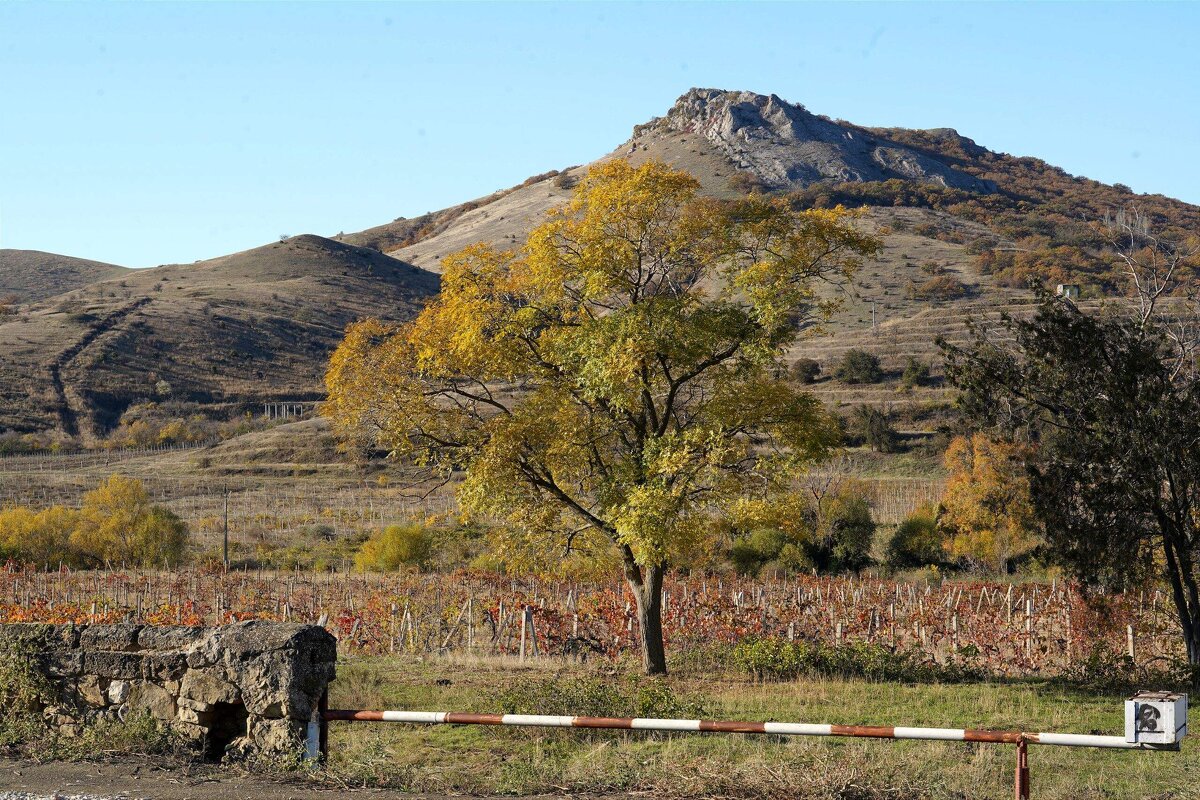 Горный пейзаж - Татьяна Тюменка