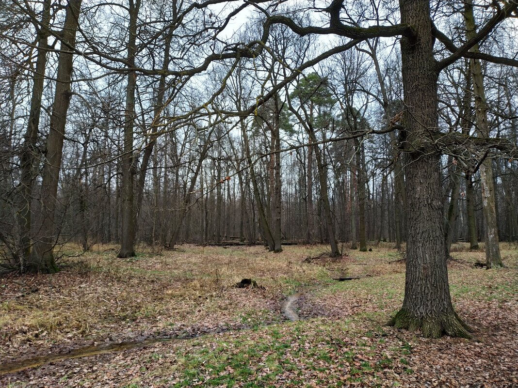 Ноябрь без прикрас - Андрей Лукьянов