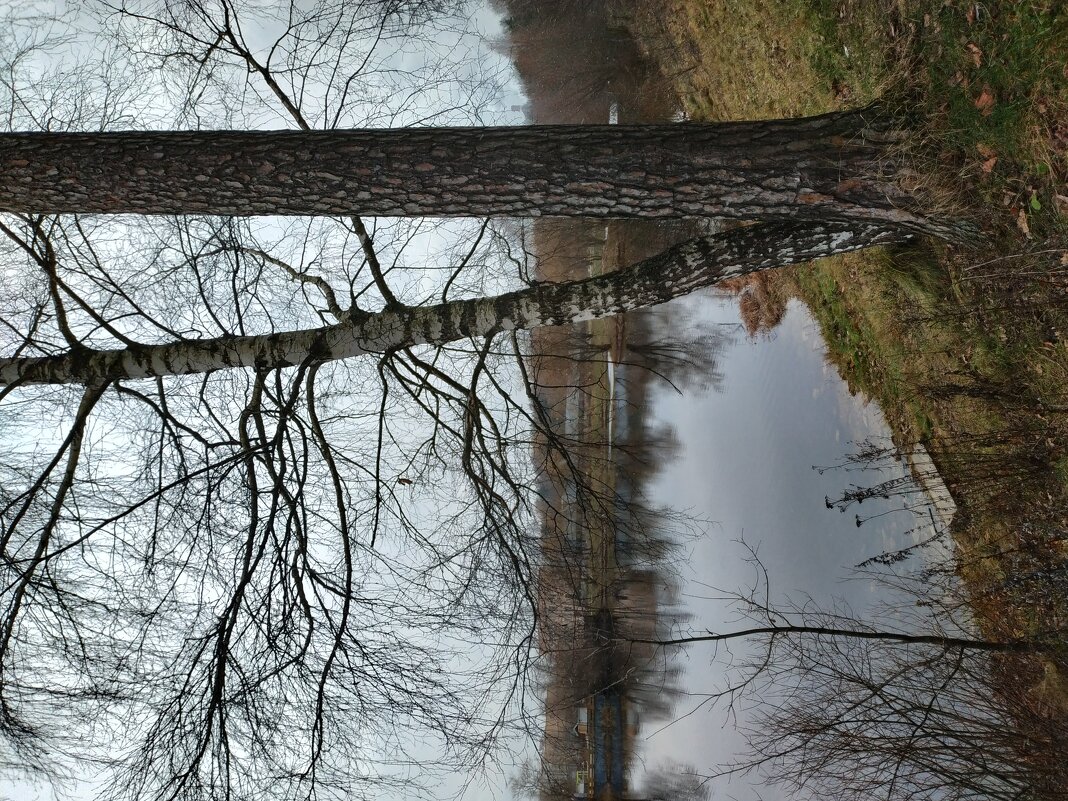 Ноябрь как он есть - Андрей Лукьянов Ноябрь как он есть - Андрей Лукьянов