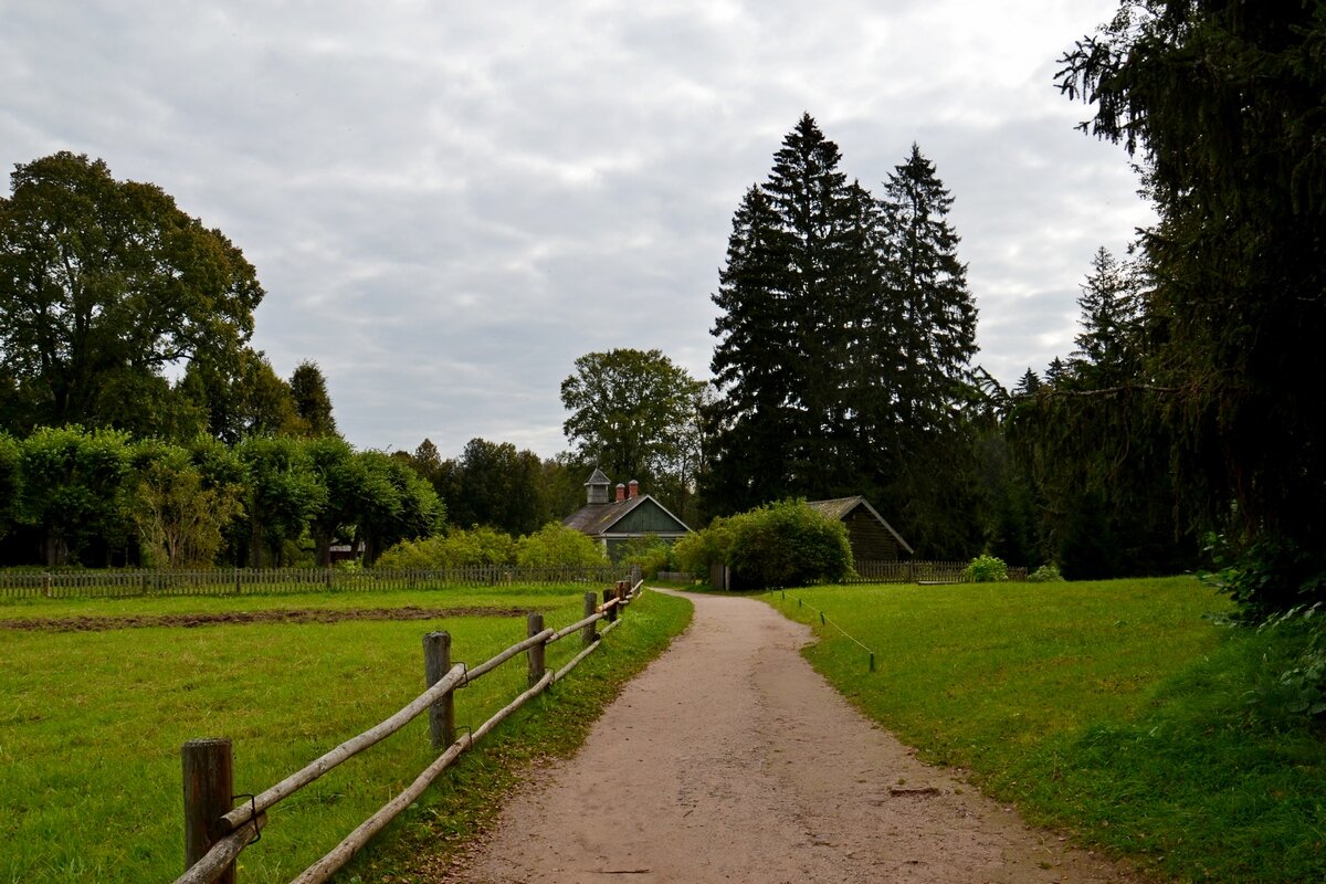 МИХАЙЛОВСКОЕ. - Виктор Осипчук