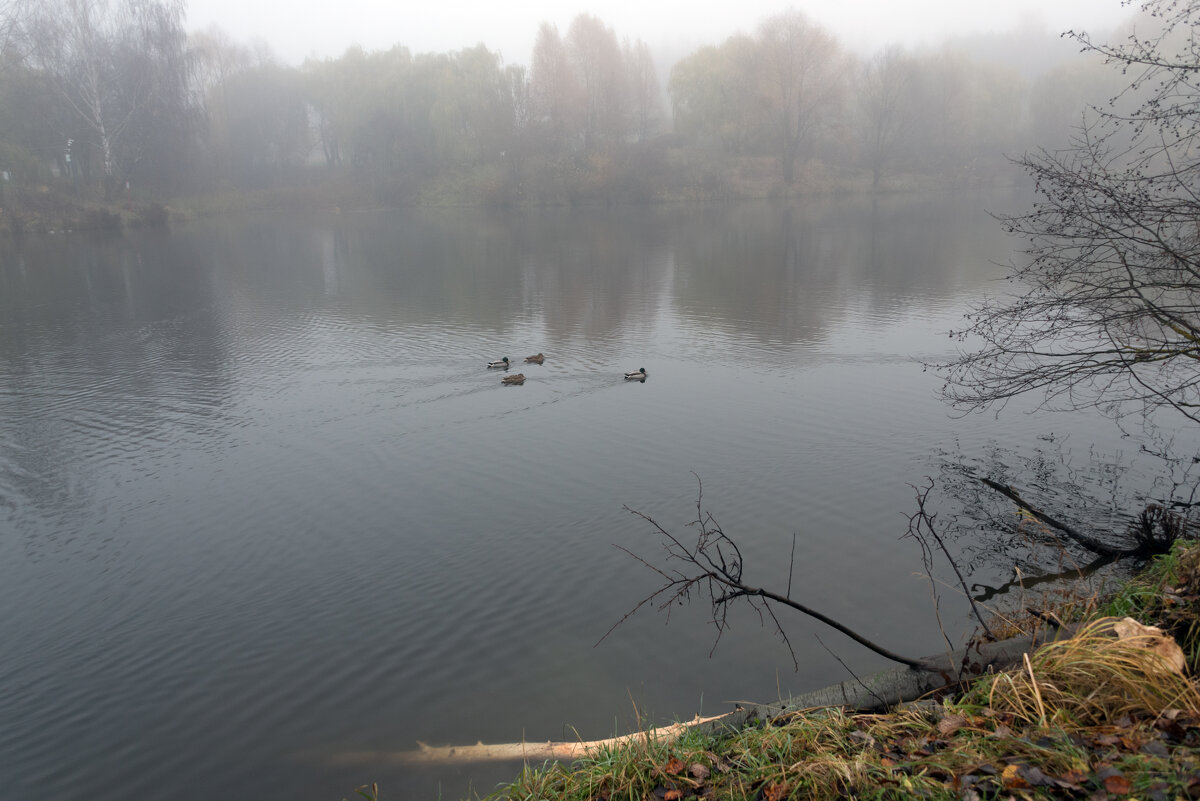 *** - Владимир Безбородов