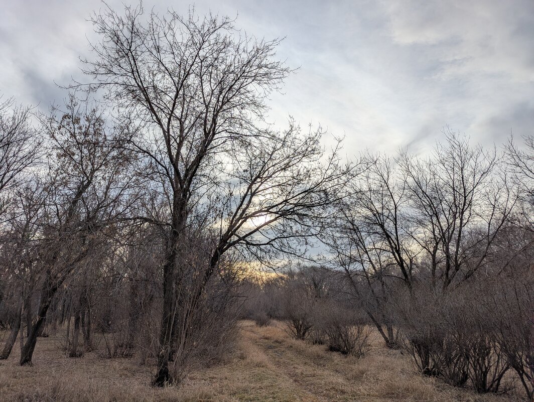 Ноябрь - Андрей Хлопонин Ноябрь - Андрей Хлопонин