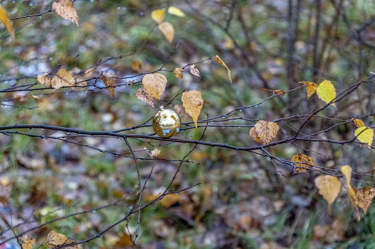 Предновогодний этюд - Валерий Иванович