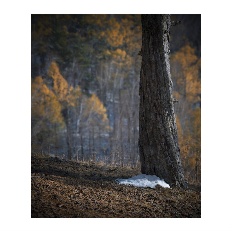 * - Александр Иванов