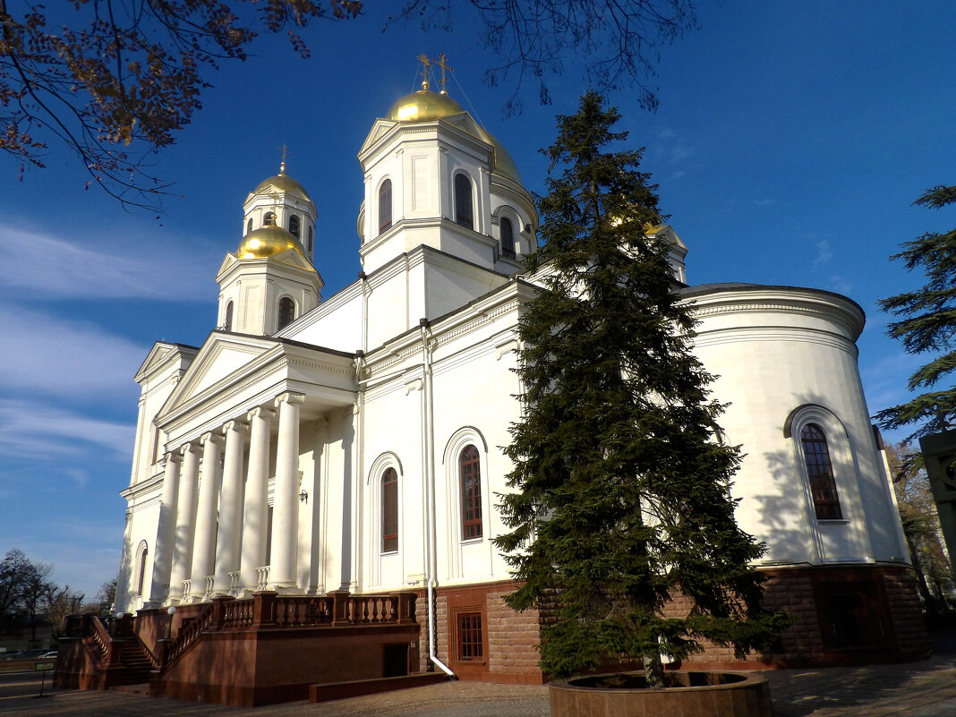 Собор  Александра  Невского - Валентин Семчишин