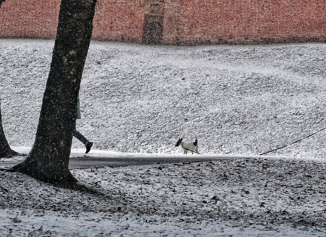 У стен кремля - Виктория Поликарпова