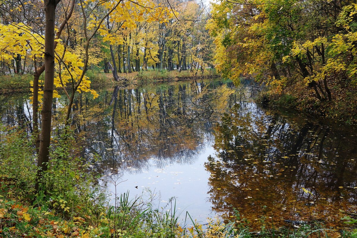 Ноябрьский пейзаж - Рита Симонова Ноябрьский пейзаж - Рита Симонова