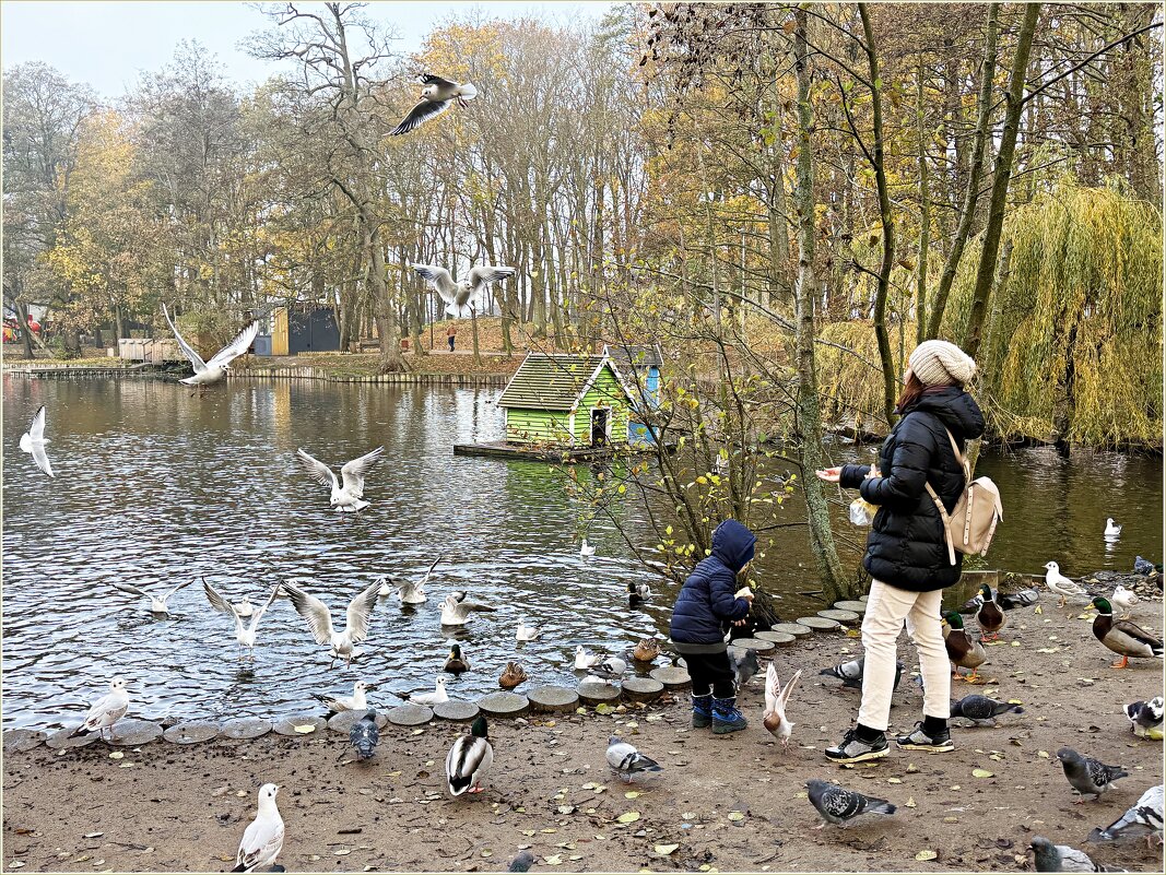 Утро у пруда. - Валерия Комова